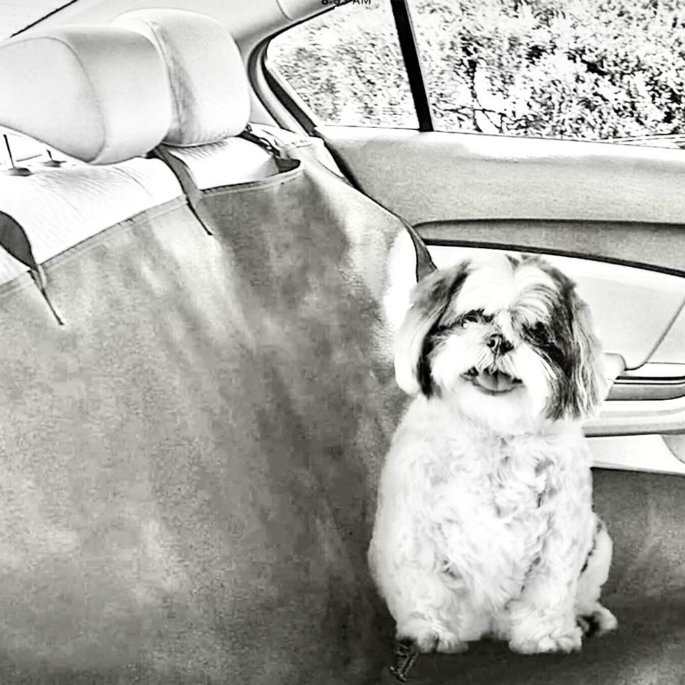 New in bag, Wishbone Hammock style back car seat pet protector, universal fit